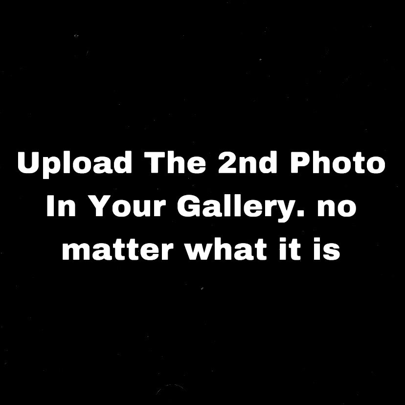 Frosty 💫 tweet media