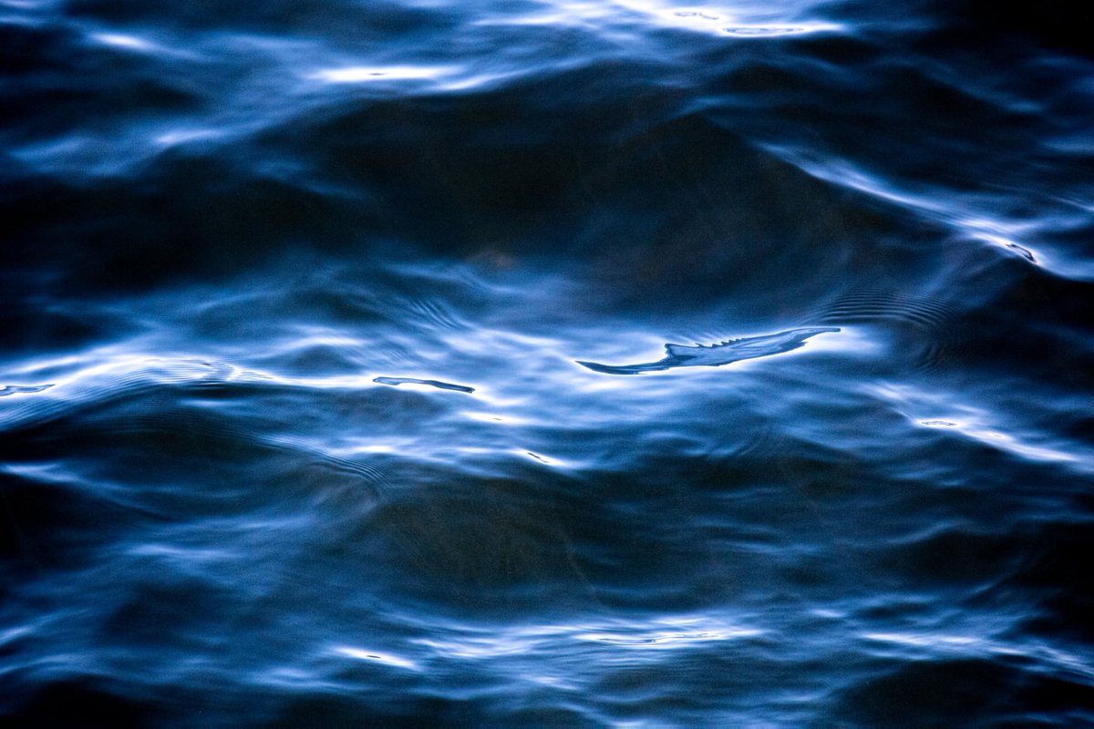 _eaao's tweet photo. @Tradermayne Be like water mayne https://t.co/5xZC2O95T6