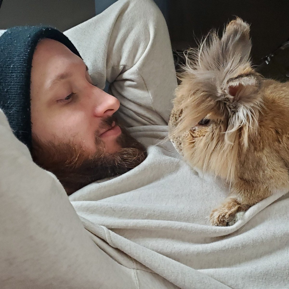 Eleven17Studios's tweet photo. I learned a lot from these two critters. I'm thankful for the time they gave me, all the nose boops and little nibbles. Love is a borrowed feeling, and I never took that for granted. It just sucks to be a former bunny dad. 

Thanks for letting me share them with yall. https://t.co/Y1JQX7rfZr