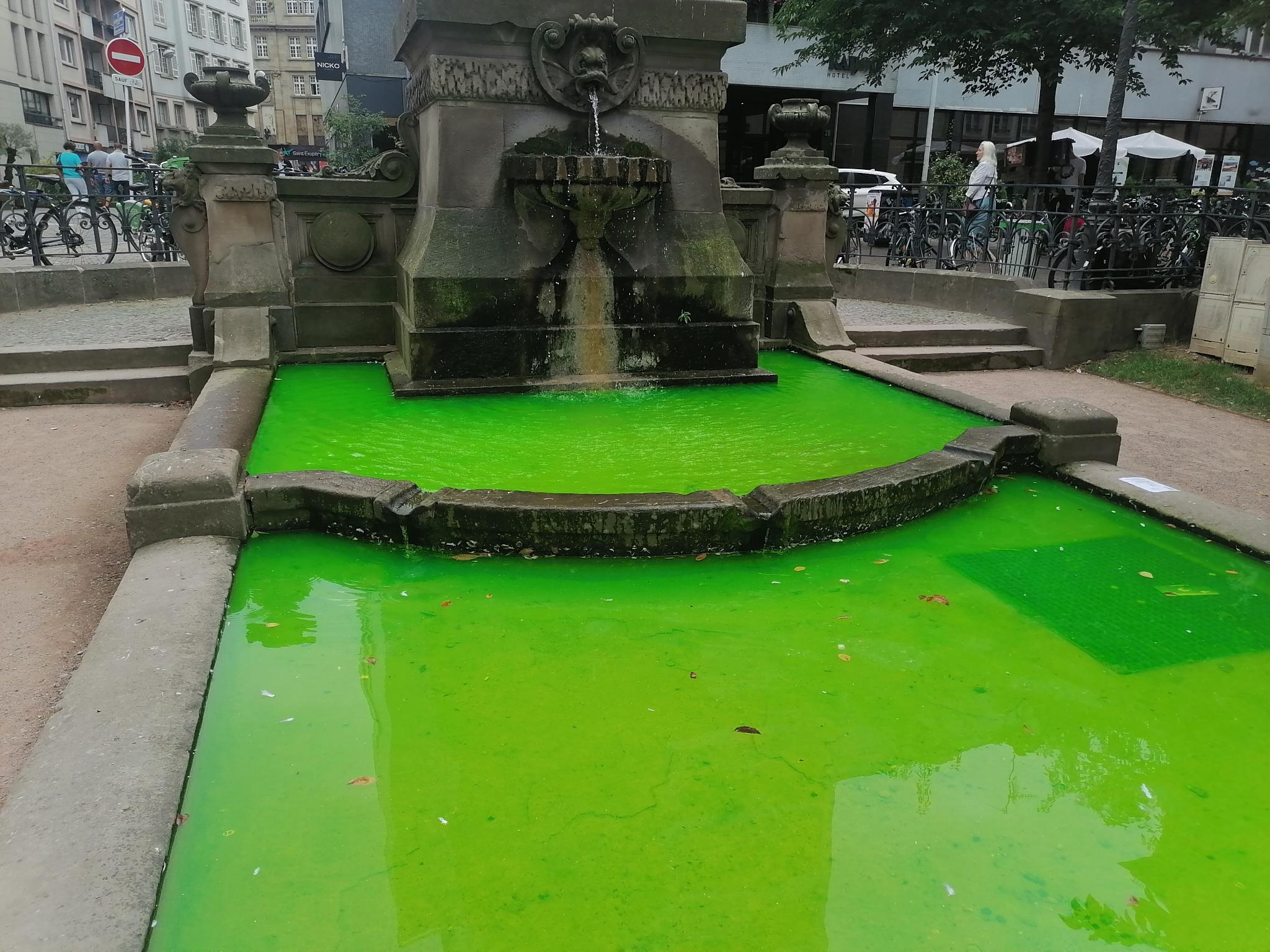 Une fontaine colorer à Strasbourg