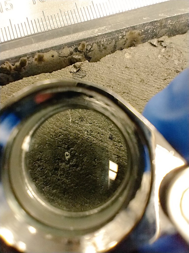 PaleoGeochemist's tweet photo. As we are going deeper @TheJR , the ocean was supposed to be warmer and here we go, many little shells ! #exp400 https://t.co/q8XuVTqVzW