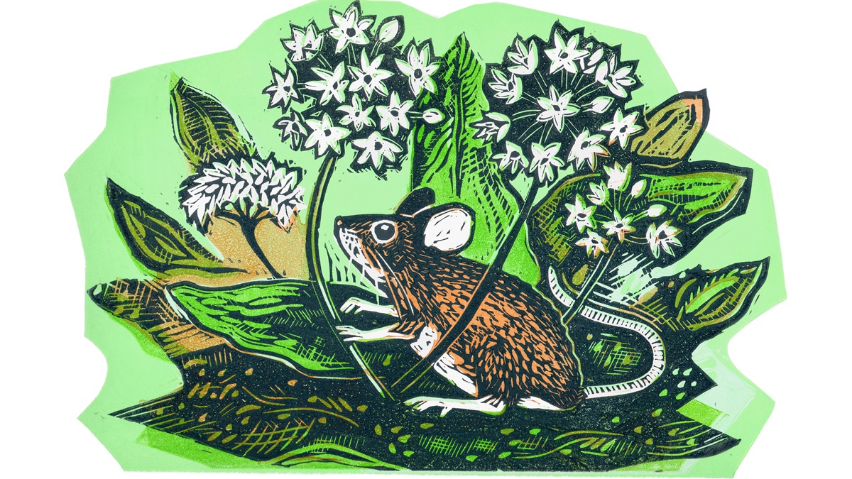Another recent linocut print - Wood Mouse and Wild Garlic - based on a mouse I saw in Hastings Country Park and the wild garlic that flowers abundantly in the woods there in spring. #linocut #printmaking #mouse #wildgarlic #hastingscountrypark