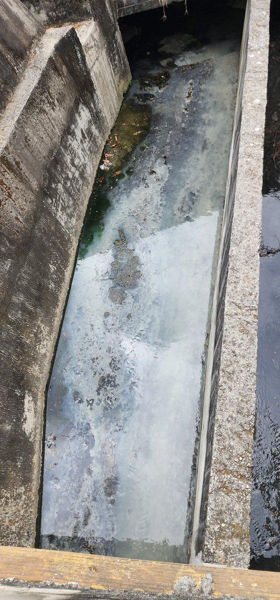 dieggk1's tweet photo. @interagua Me explican porque están mezlcnado las aguas negras con un canal de aguas lluvias. En la semanas anteriores hicieron un arreglo y dejaron el canal de agua. https://t.co/e3bryRX6te
