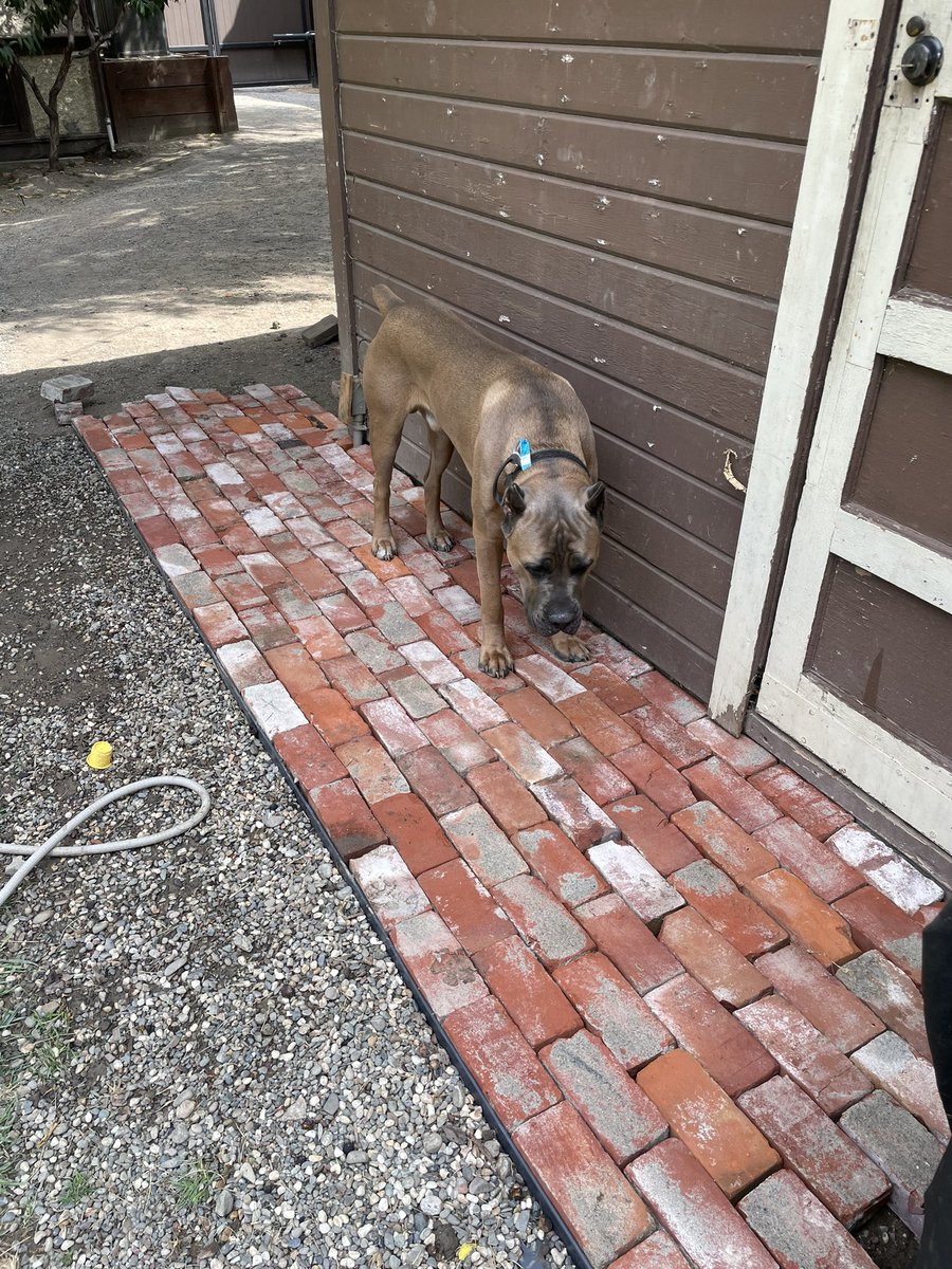 rudd__s's tweet photo. Putting some of these bricks to use around the garage
#bigwick https://t.co/xkUOXDy7ft