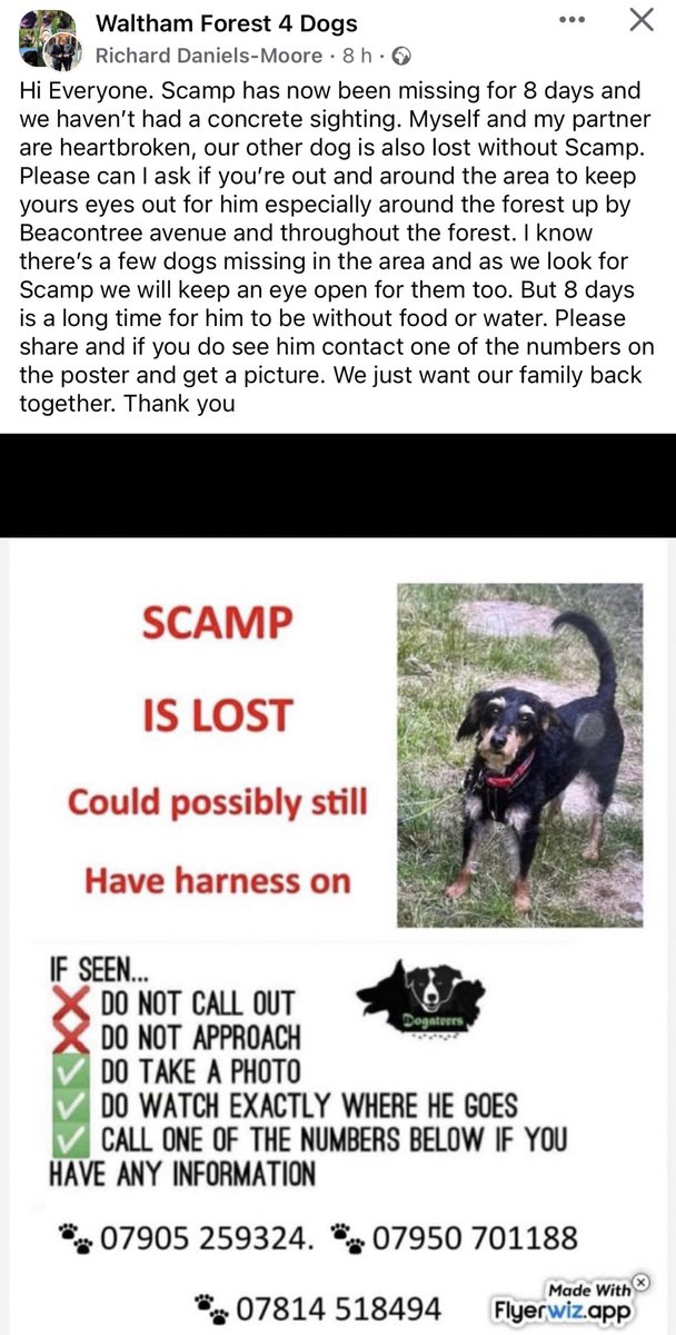 WalthamForest4Dogs tweet media