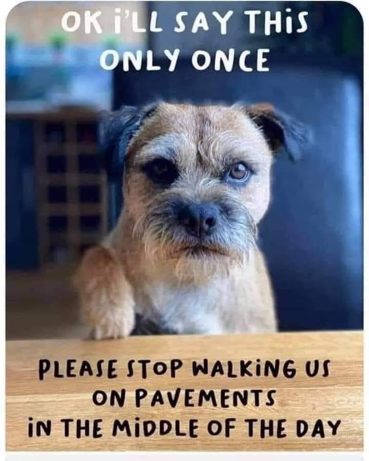 BarkDirty's tweet image. Sage advice - to make sure you protect your pups !! #pupprotection #fyp #advice