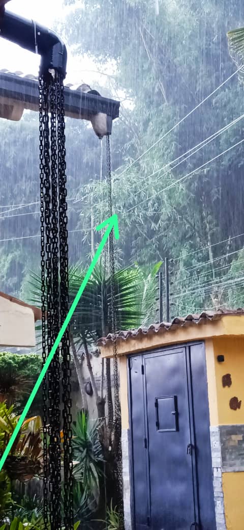 SavignanoLuis's tweet photo. Siempre lo decimos el problema de la electricidad en el hatillo es falta de poda, estos bambú en la calle el manguito están ocasionando la falla @CorpoelecInfo @ServiciosEH https://t.co/bRGTWF1nVB