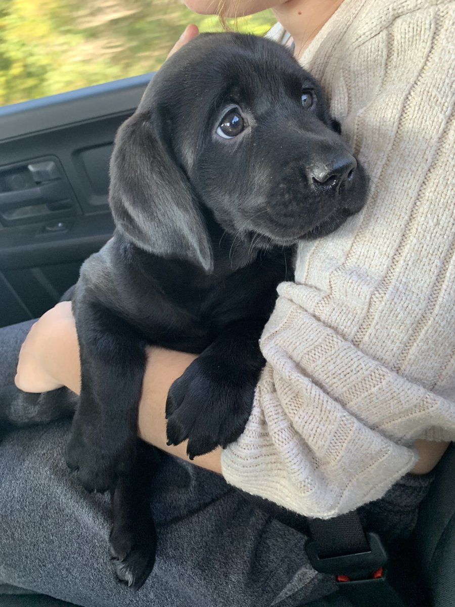 Welcoming a new addition to the family
Miss Maisie-Mae