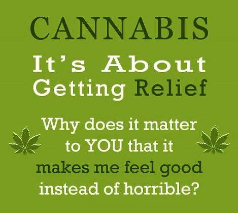 When plauged with #ChronicPain or #Acutepain #GoodHerbs have always had a positive affect Today I appreciate it more than ever & #Cannabis has helped me reduce the amount of narcotics I need for the most awful pain from needing a hip replacement.Don't judge unless pain visits you