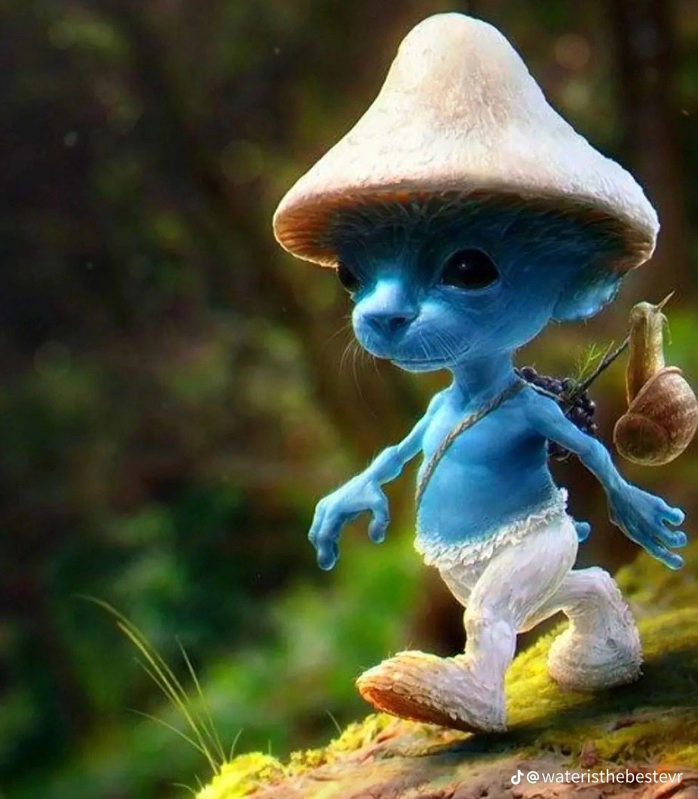 SpushFNBR tweet media