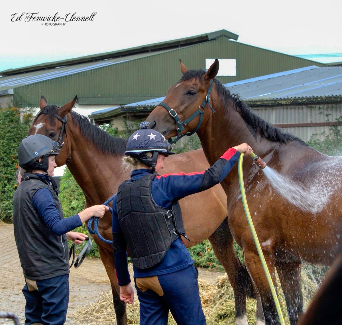 eds_outdoors's tweet photo. Hosing down ... 💦
&amp; 2 Superstars of Racing  ...
#NationalRacehorseWeek https://t.co/zxMPunPG5q