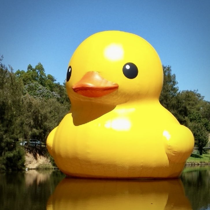 hansenhouseca's tweet photo. Inflate the Draken! 
This weekend Sep 16-17 ‘The World’s Largest Rubber Duck’ is nesting on land at 7 Queens Quay East for the Toronto Waterfront Festival
__
Rubber Duck by Florentijn Hofman, image by 564dude, CC BY-SA 3.0, crop https://t.co/PQbaOjrN49