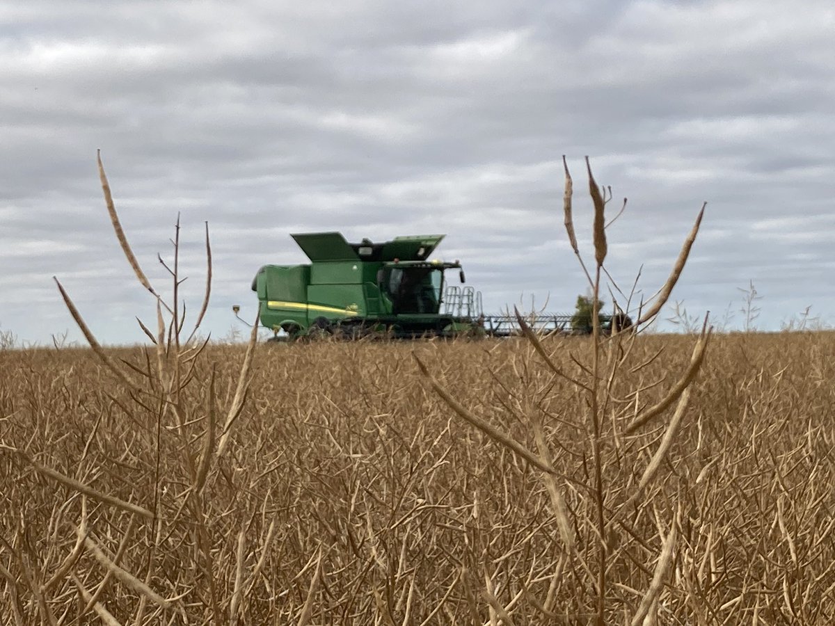 gerrarddw's tweet photo. @ennsbros combine demo day Millshof Colony. @JohnDeere X9 is working great! Still have to appreciate a great #S780 https://t.co/YzNk4U7Xhs
