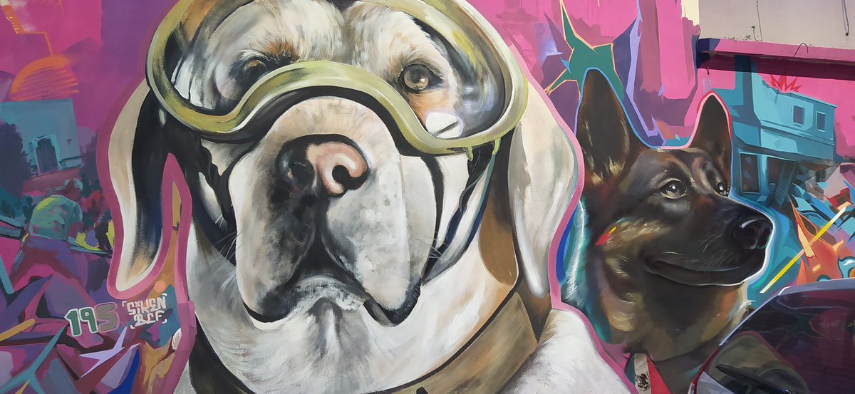 jaime lopez tweet media