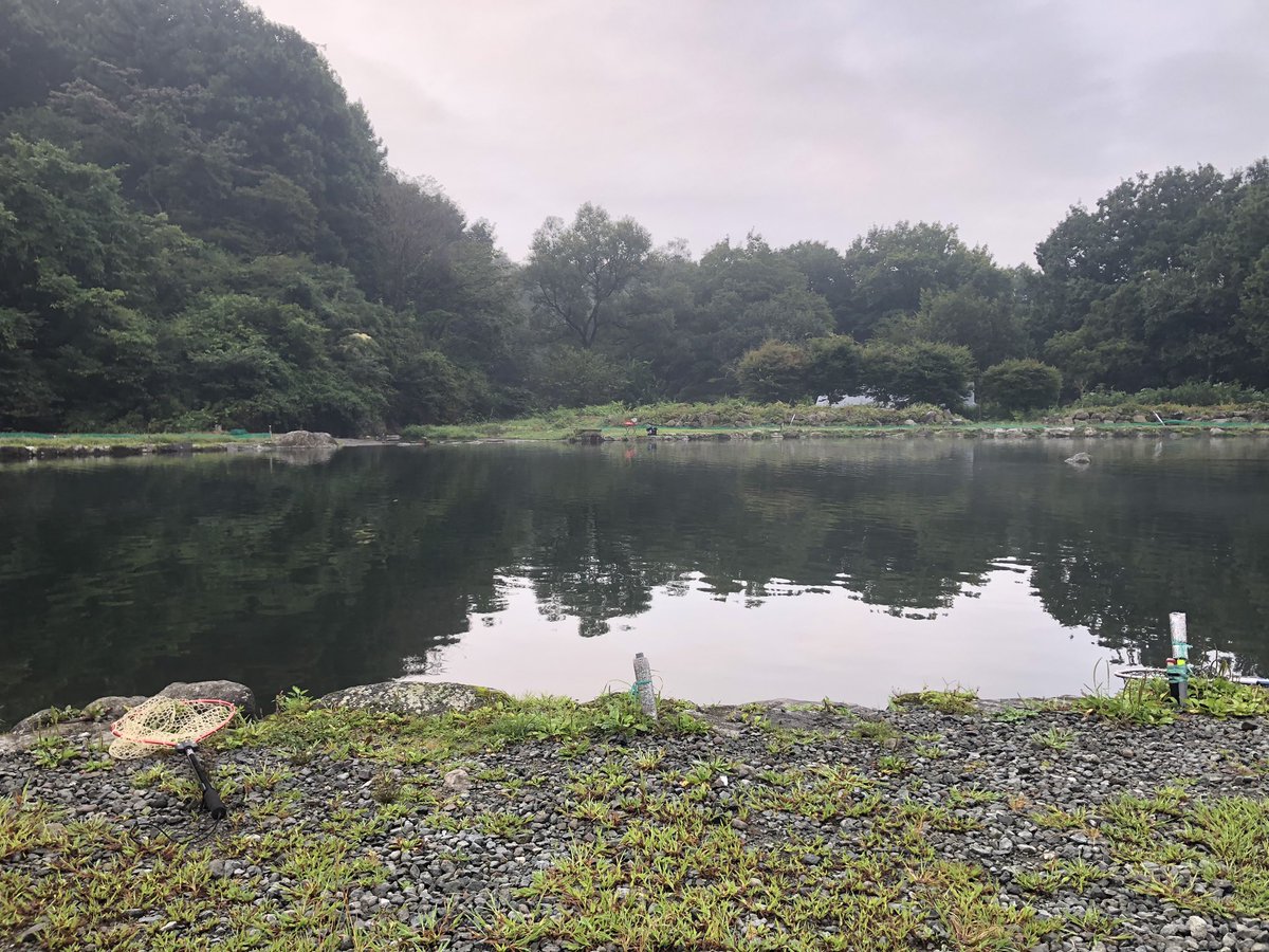 mokb_trout's tweet image. リールとかルアーとかもろもろ買って、ようやく釣りに来れました！

#エリアトラウト
#管釣り
#群馬フィッシングセンター中之沢