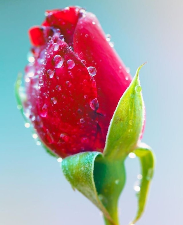 Soft rain touch ❤️