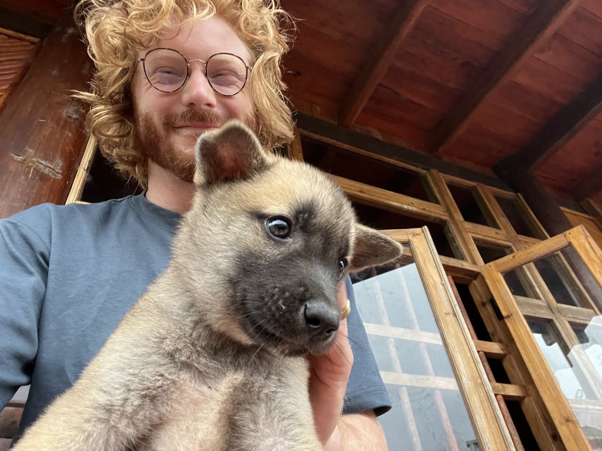 ManateeCommune tweet media