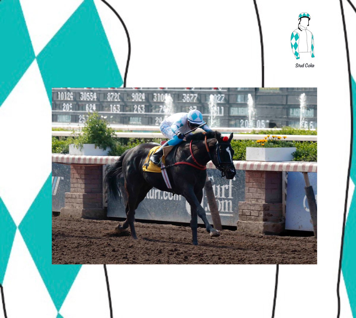 Pasionporlahip's tweet photo. Sir Constitution, del stud "Coke", ganó en @hipodromo_chile, felicitamos su propietario Jorge Yapur y le agradecemos por estar con @Pasionporlahip. Jorge A. González, montó al pupilo de Claudio Bernal.  ¡Felicitaciones a su equipo! 🎉 (📸: @FOTOOFICIALCH) https://t.co/s5k96X1WV9