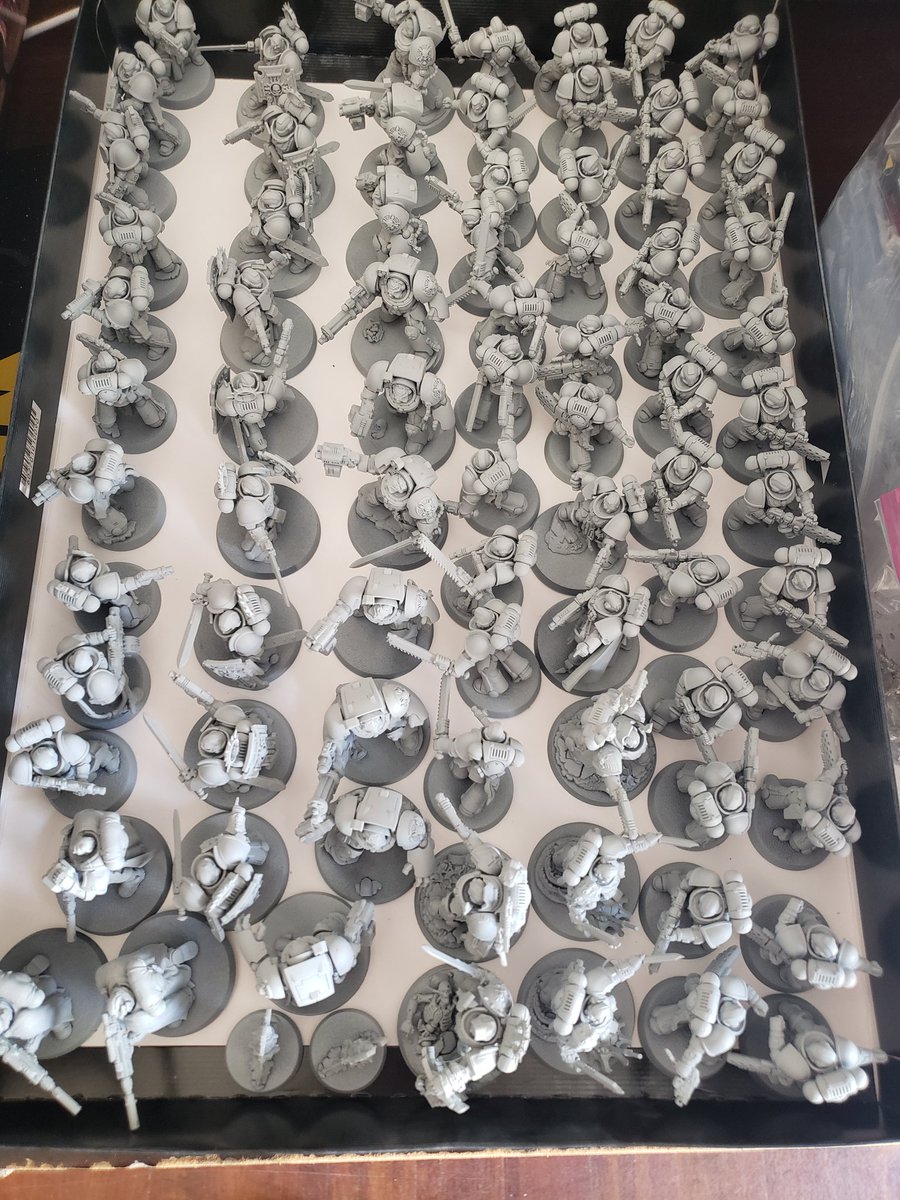 blamminator's tweet photo. Getting White Scars started. Got everything primed celestra grey, will do white overlay later. Except for the one guy that will be primed black :) https://t.co/vRMYxObLzZ