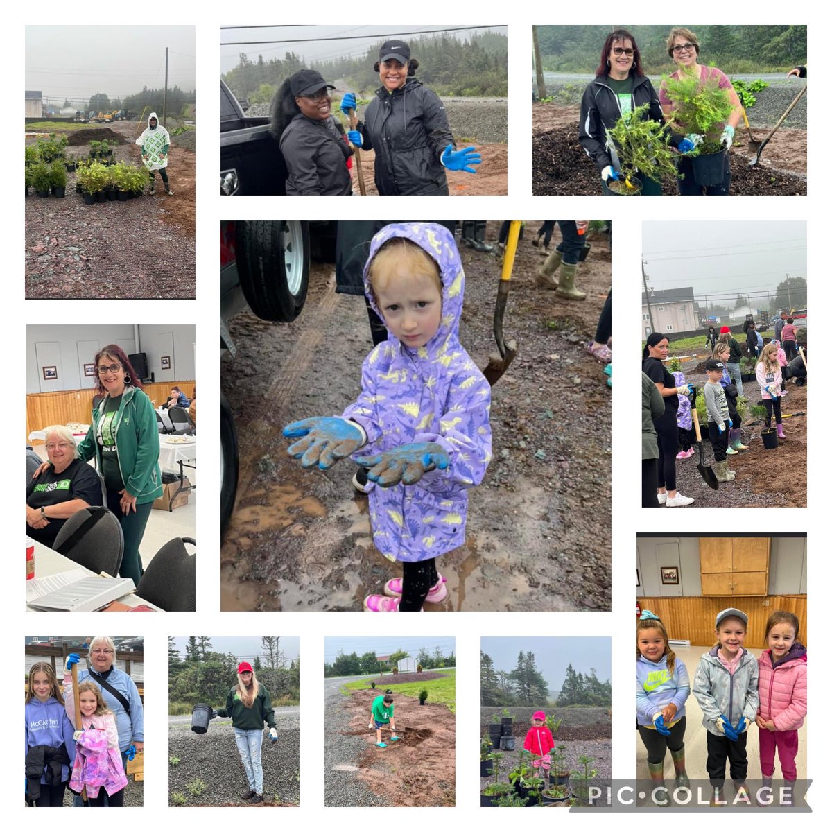#TDtreedays amazing day planting trees in the beautiful historic town of Burin with Team Marystown and some wonderful volunteers #The TDReadyCommitment ⁦<a href="/andreancummings/">Andrea Cummings</a>⁩ <a href="/MuirChris_TD/">Chris Muir</a>⁩