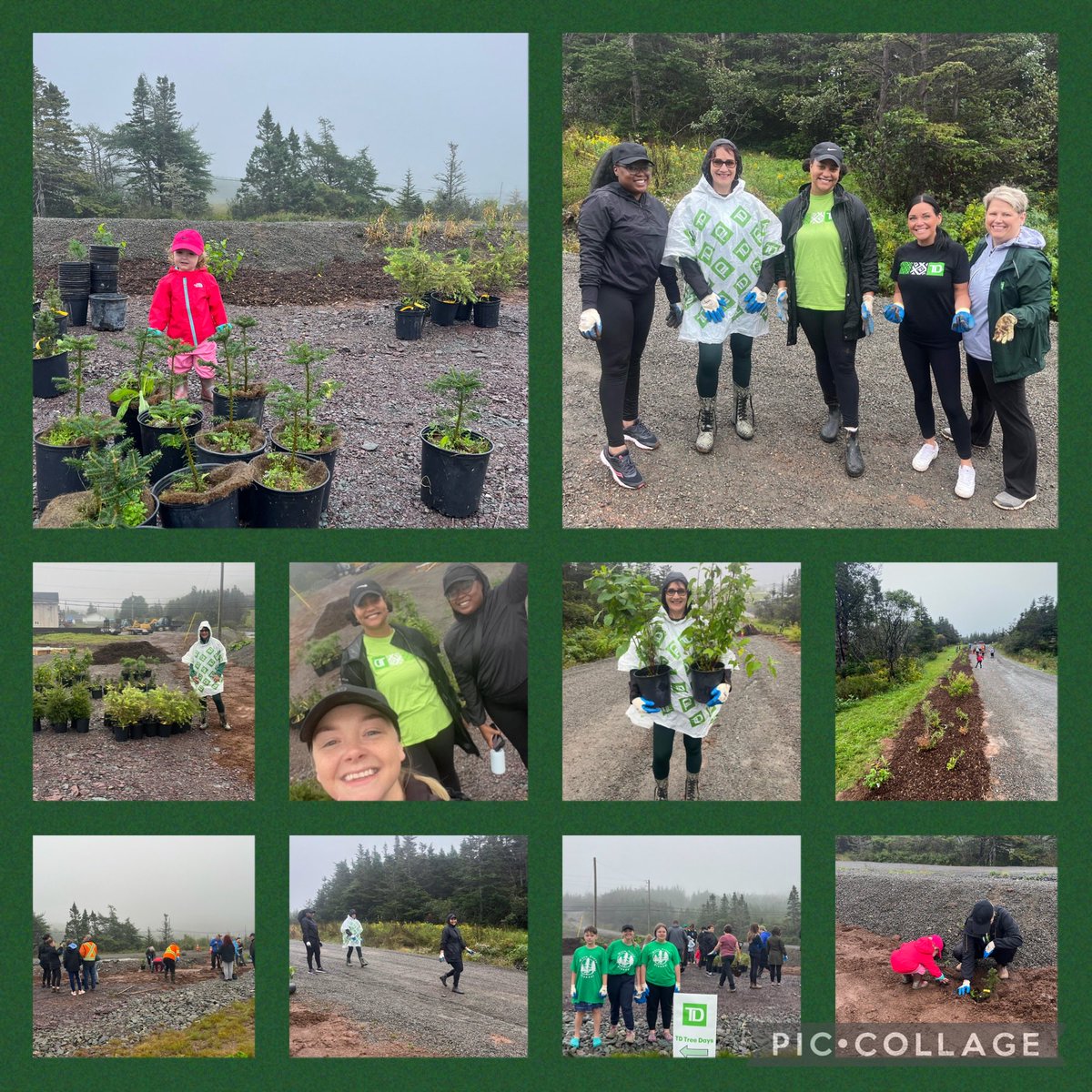 Marlyesesimms's tweet photo. #TDtreedays amazing day planting trees in the beautiful historic town of Burin with Team Marystown and some wonderful volunteers #The TDReadyCommitment ⁦@andreancummings⁩ @MuirChris_TD⁩ https://t.co/o9twoqHJyR