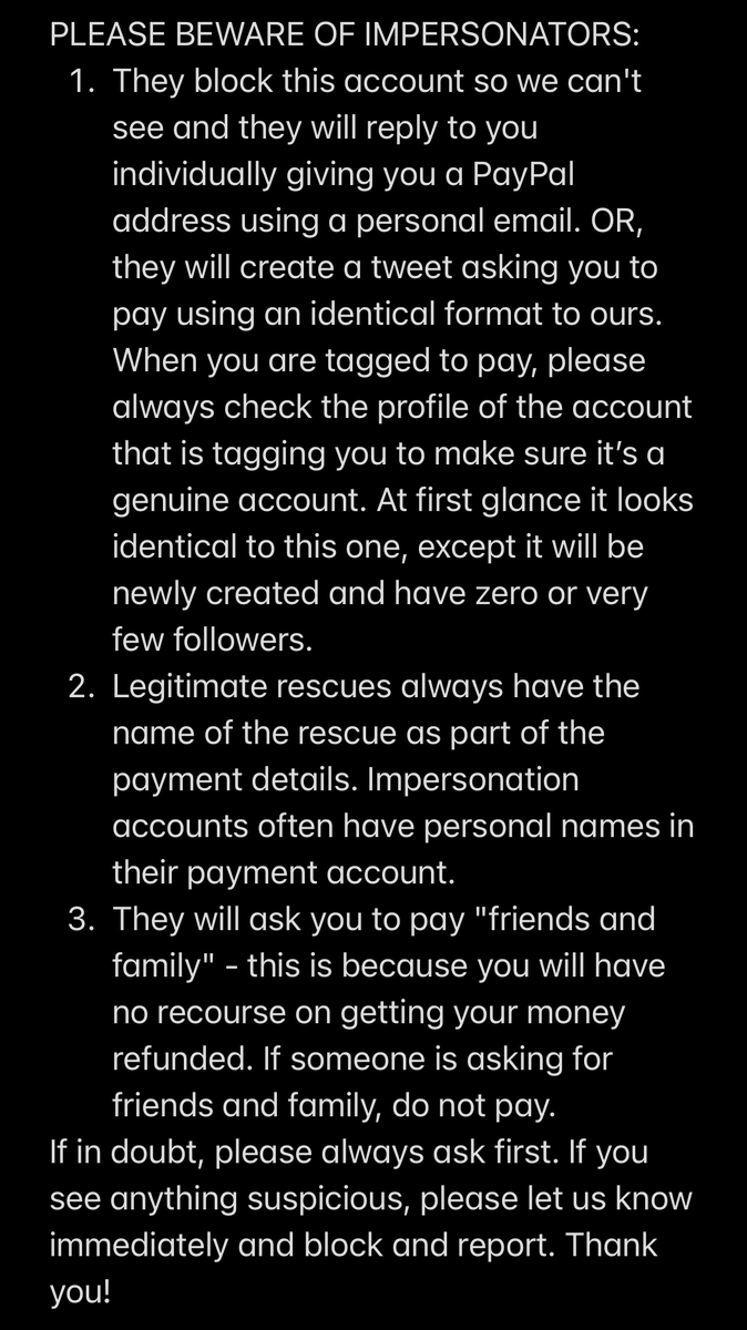 Keith Olbermann's Dogs tweet media