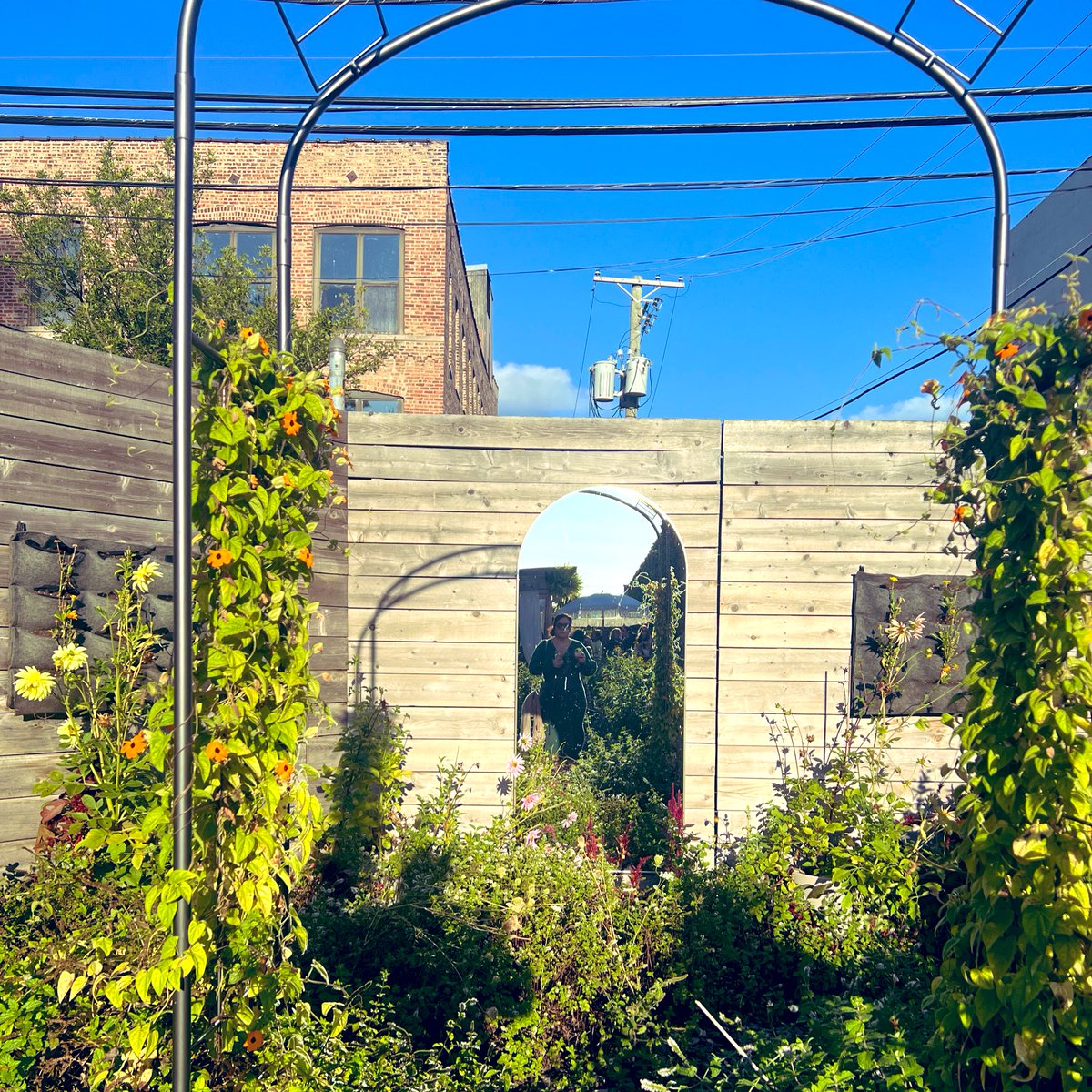 Shanna✨ tweet media