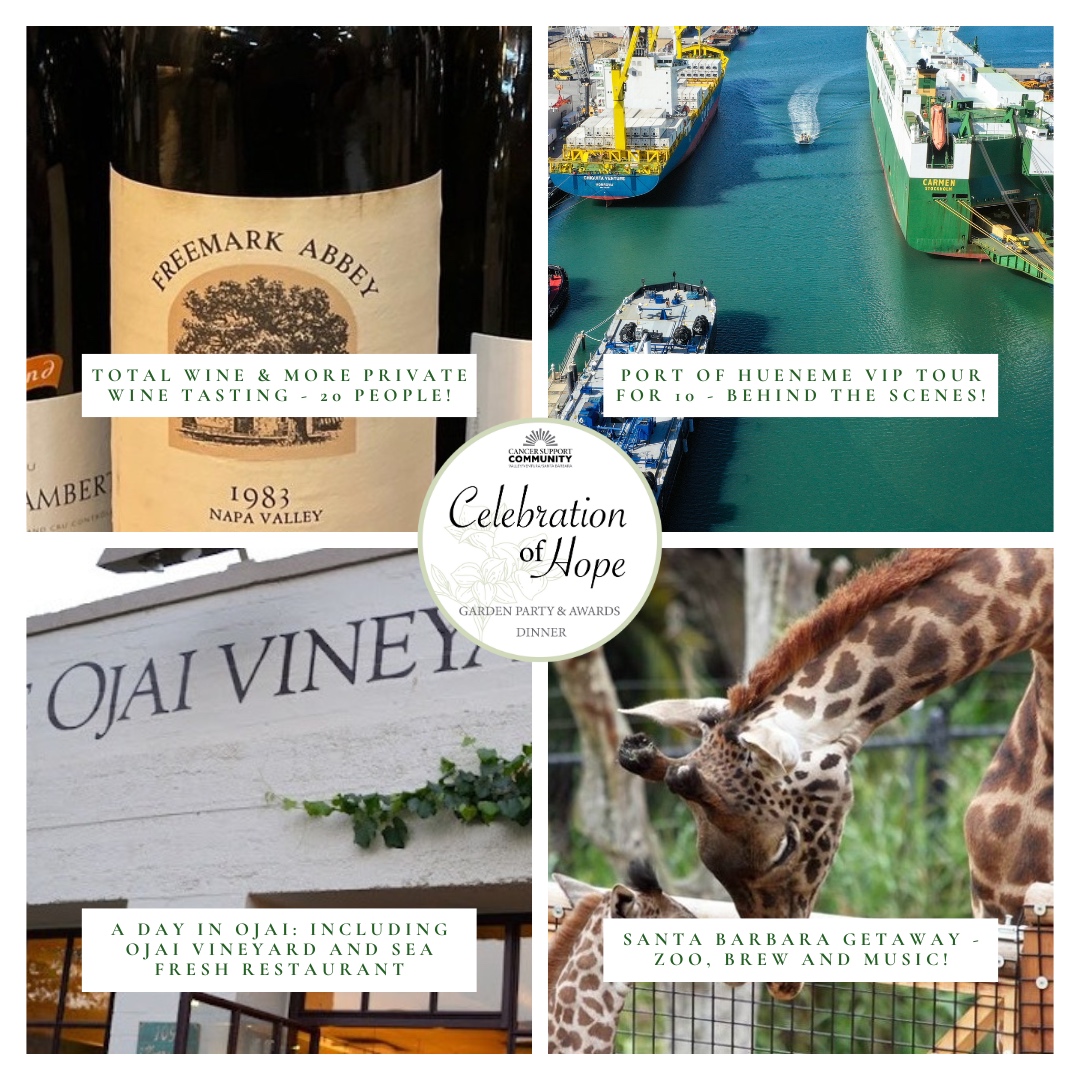 CSCVVSB's tweet image. 24 hours left to submit your bids to this year's Silent Auction.
The auction will close at 6:30PM on Sunday, September 17th.
paybee.io/quickpay.html?…
