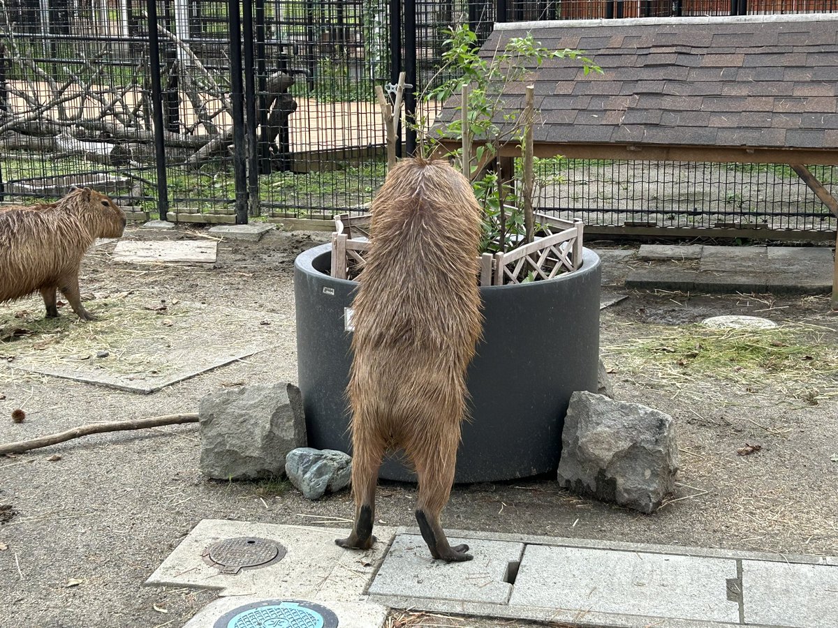 おはようございます。