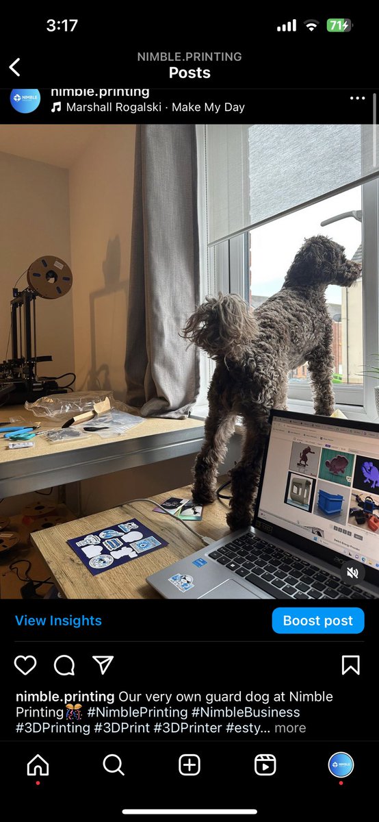NimblePrinting's tweet photo. Our very own guard dog at Nimble Printing🎊 #NimblePrinting #NimbleBusiness #3DPrinting #3DPrint #3DPrinter #esty #madeintheuk 

Don’t forget to follow @Nimbleprinting to see more!

https://t.co/66b1tOKs7b https://t.co/Hy9qiX2uQI