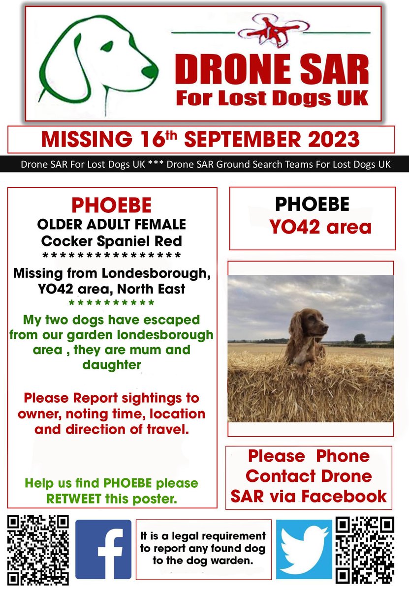 #LostDog #Alert PHOEBE
Female Cocker Spaniel Red (Age: Older Adult)
Missing from Londesborough, YO42 area, North East on Saturday, 16th September 2023 #DroneSAR #MissingDog