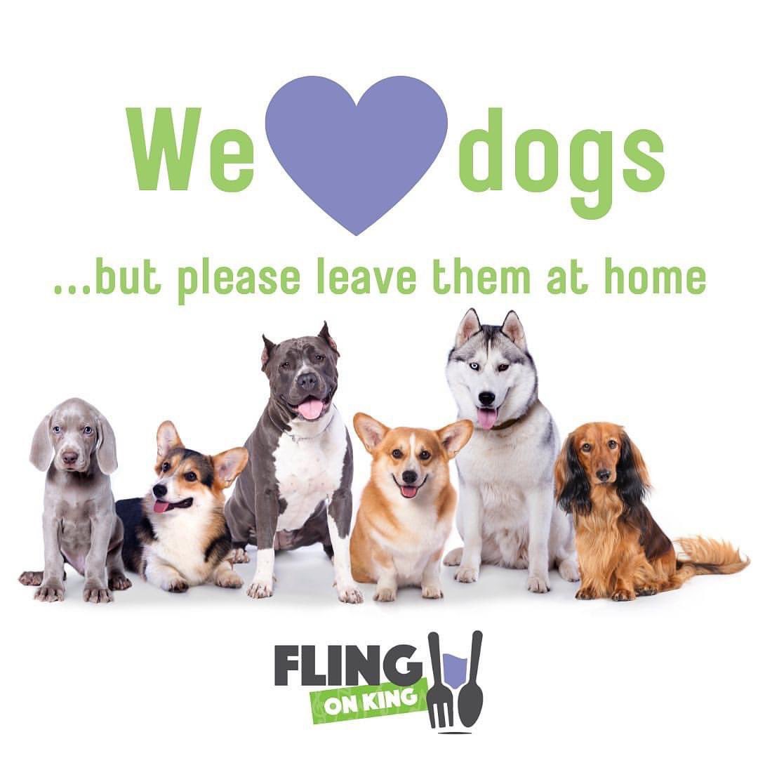 FlingoffKing's tweet photo. We always love seeing the pup pups #downtownbench #Beamsville, but please remember folks the event gets quite busy, there are a lot of smells and loud sounds and music and it is all concrete. We kindly ask that the doggos rest at home. 🐾💚💜#flingonking https://t.co/TKYHviRo4u