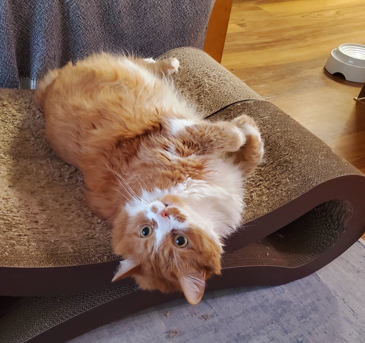 dave wagner tweet media