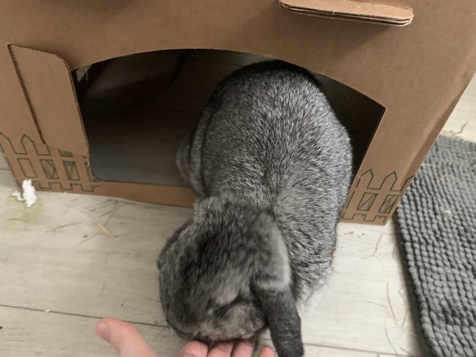 She bit me :( I still love her tho, she&rsquo;s just being cranky I didn&rsquo;t bring her snacks when I went for<a href="/tag/laptop"class="tags"><span>#laptop</span></a><a href="/tag/dell"class="tags"><span>#dell</span></a>