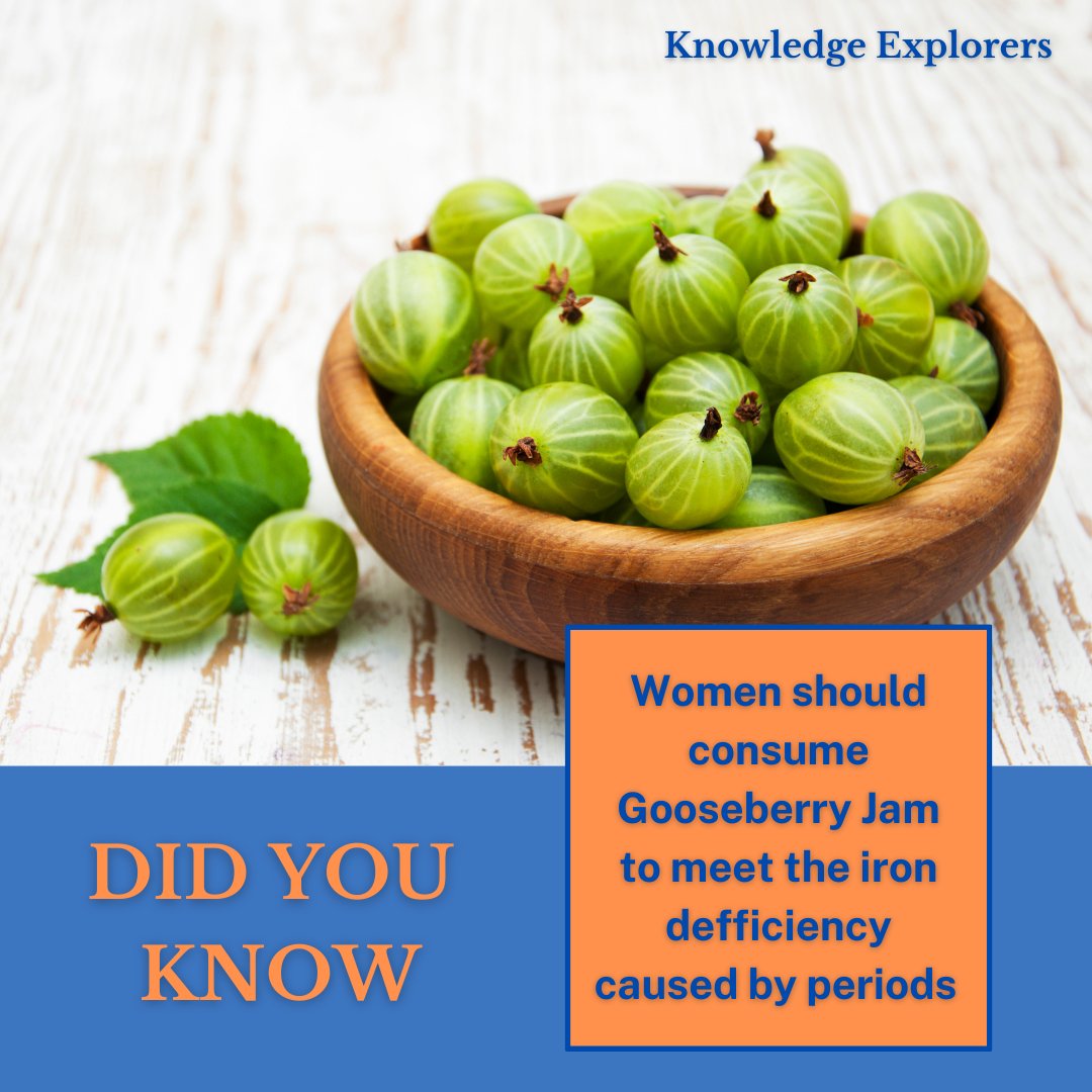 KnowledgeExp1's tweet image. 🩸 Ladies, combat iron deficiency during your periods with Gooseberry Jam! 🍇💪 Say goodbye to fatigue and hello to empowerment! 💁‍♀️💥 Explore more knowledge with Knowledge Explorers! 📚✨ #WomensHealth #PeriodHacks #IronDeficiency #KnowledgeExplorers