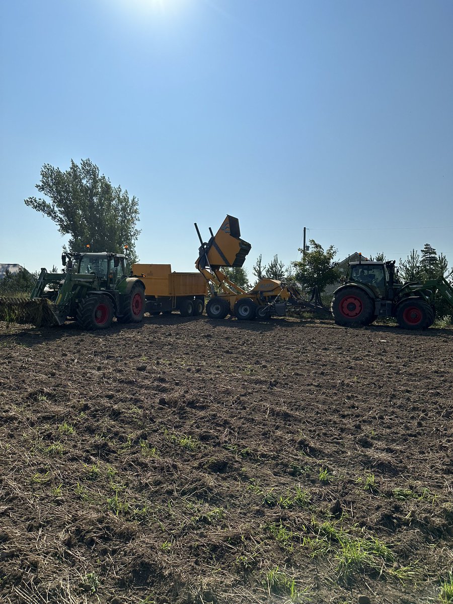 Todd Frey tweet media