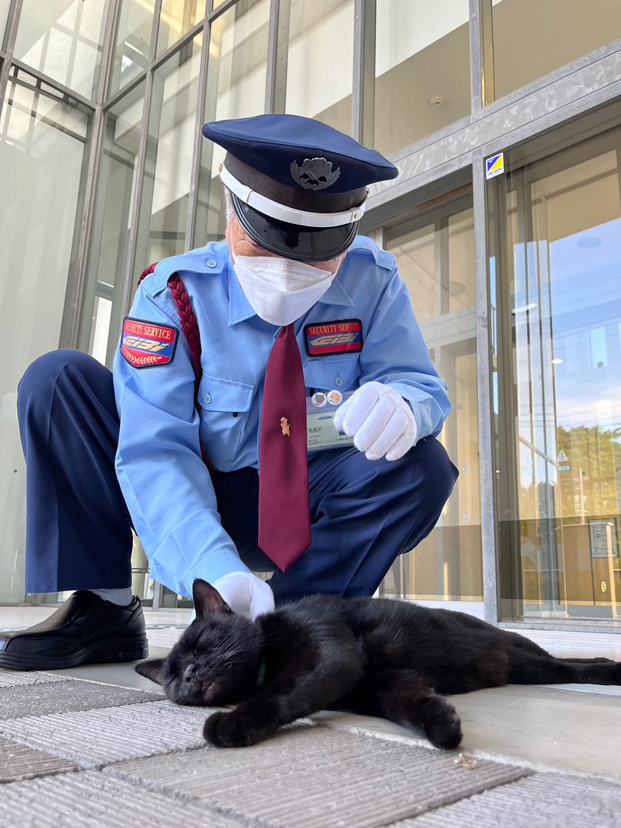 時をかける猫猫 646 