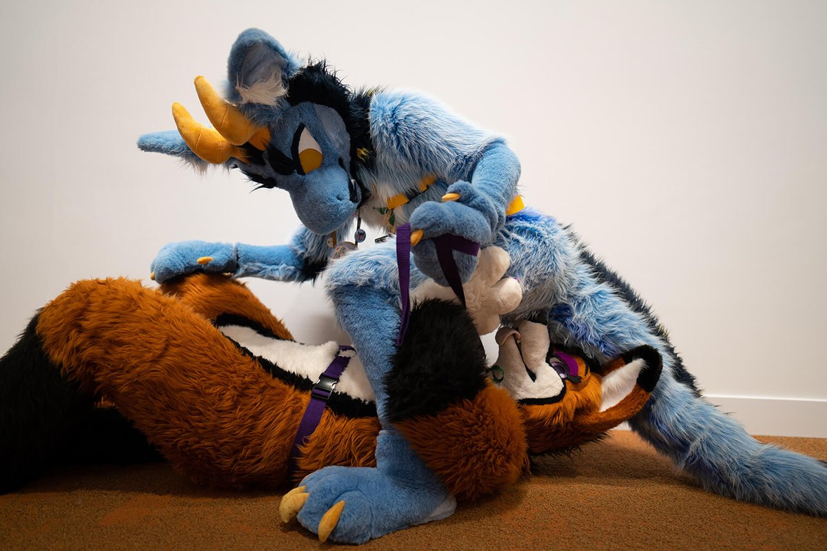at #EF I hung around with <a href="/rotfellfox/">Head of Eepy Inc.</a> a lot, he's such a cutie! I had to show him who's boss though. More pics like this on my bluesky😋

📸by <a href="/MaverickTheDeer/">Maverick🔜MFF,ANE</a>
#nsfw #fursuit