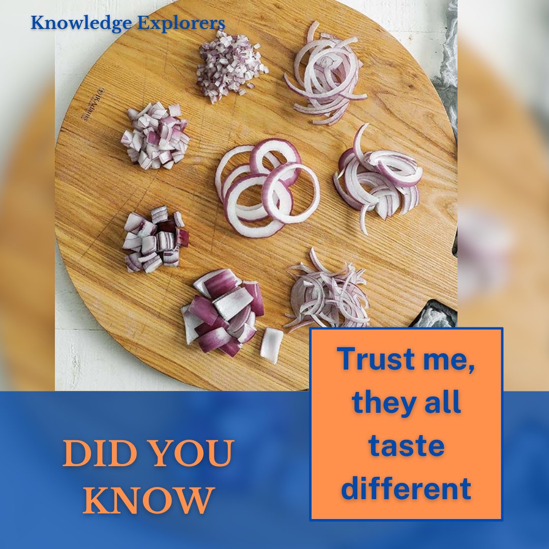 KnowledgeExp1's tweet image. Trust me, they all taste different. Delving into the fascinating world of onions and their diverse flavors! Share your favorite onion hacks and culinary experiments with us at Knowledge Explorers! 📚🍽️ #FoodExploration #CulinaryKnowledge #KnowledgeExplorers #FlavorfulJourney