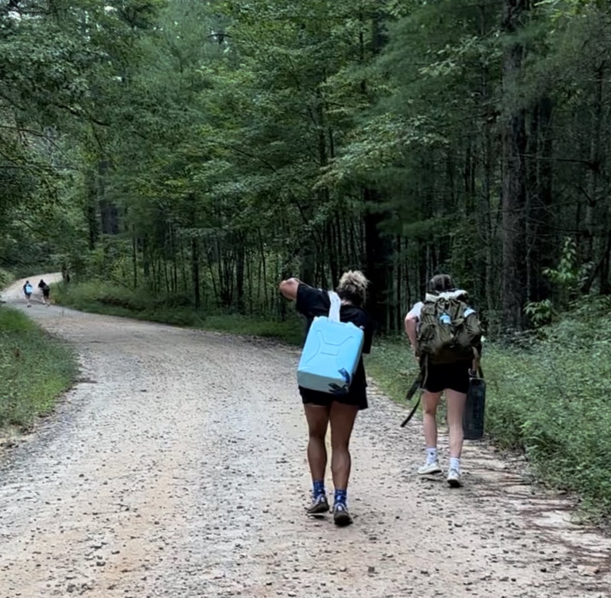 UNG Women's Hoops tweet media
