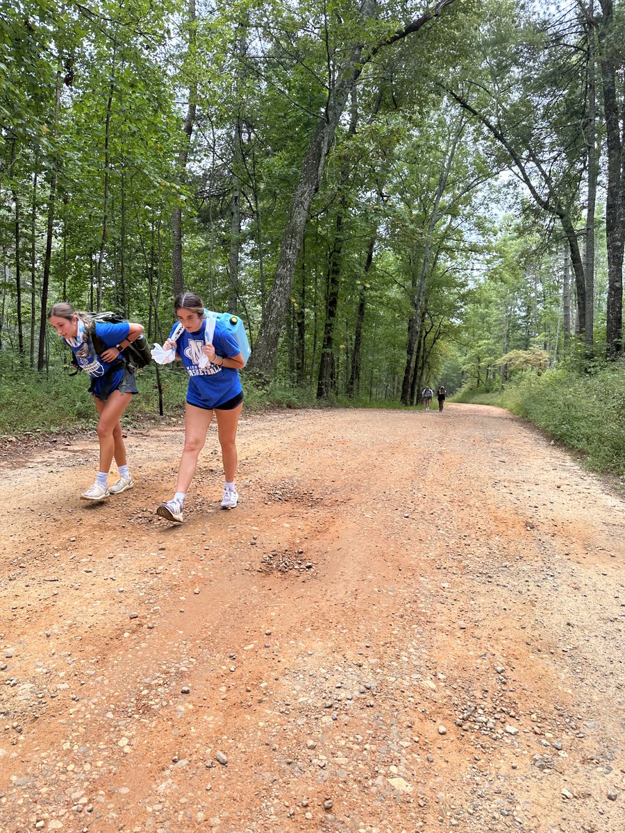 UNG Women's Hoops tweet media