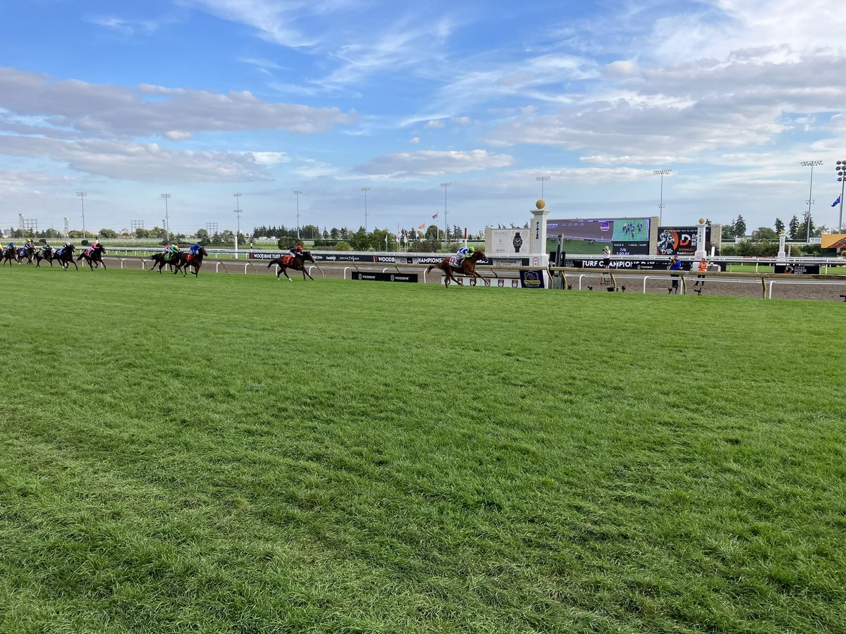 FlaxmanFanPage's tweet photo. Another G1 winner for Karakontie today as She Feels Pretty wins the Natalma Stakes at @WoodbineTB https://t.co/B3fVx6vhdH