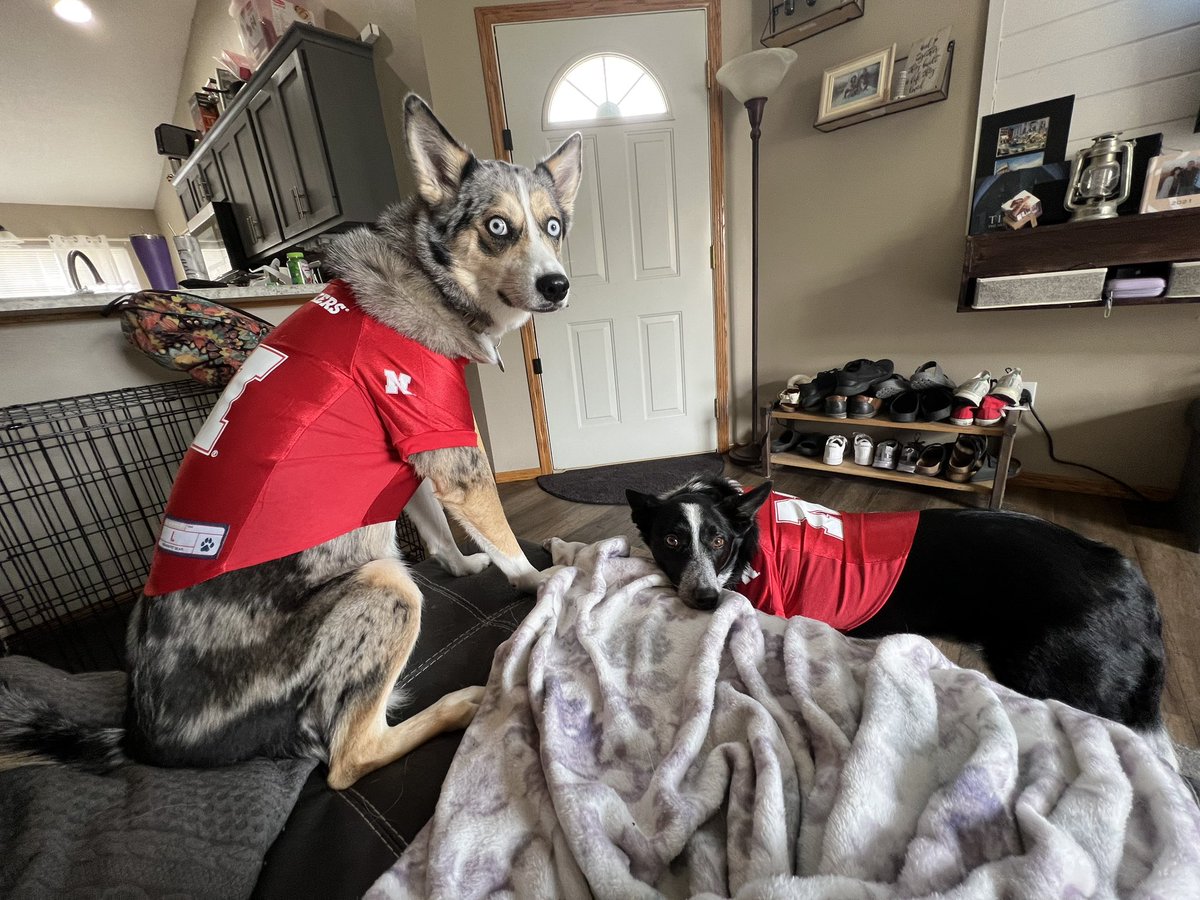 khoutsmaaa's tweet photo. The @HuskerFootball teams cutest fans ❤️ https://t.co/OokgwvlEeW