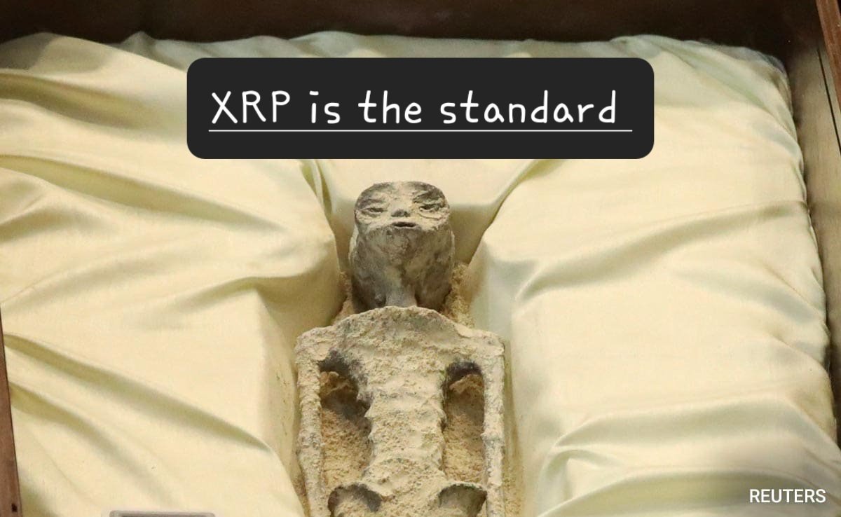 #XRP is the standard be like  🤣🤣🤣