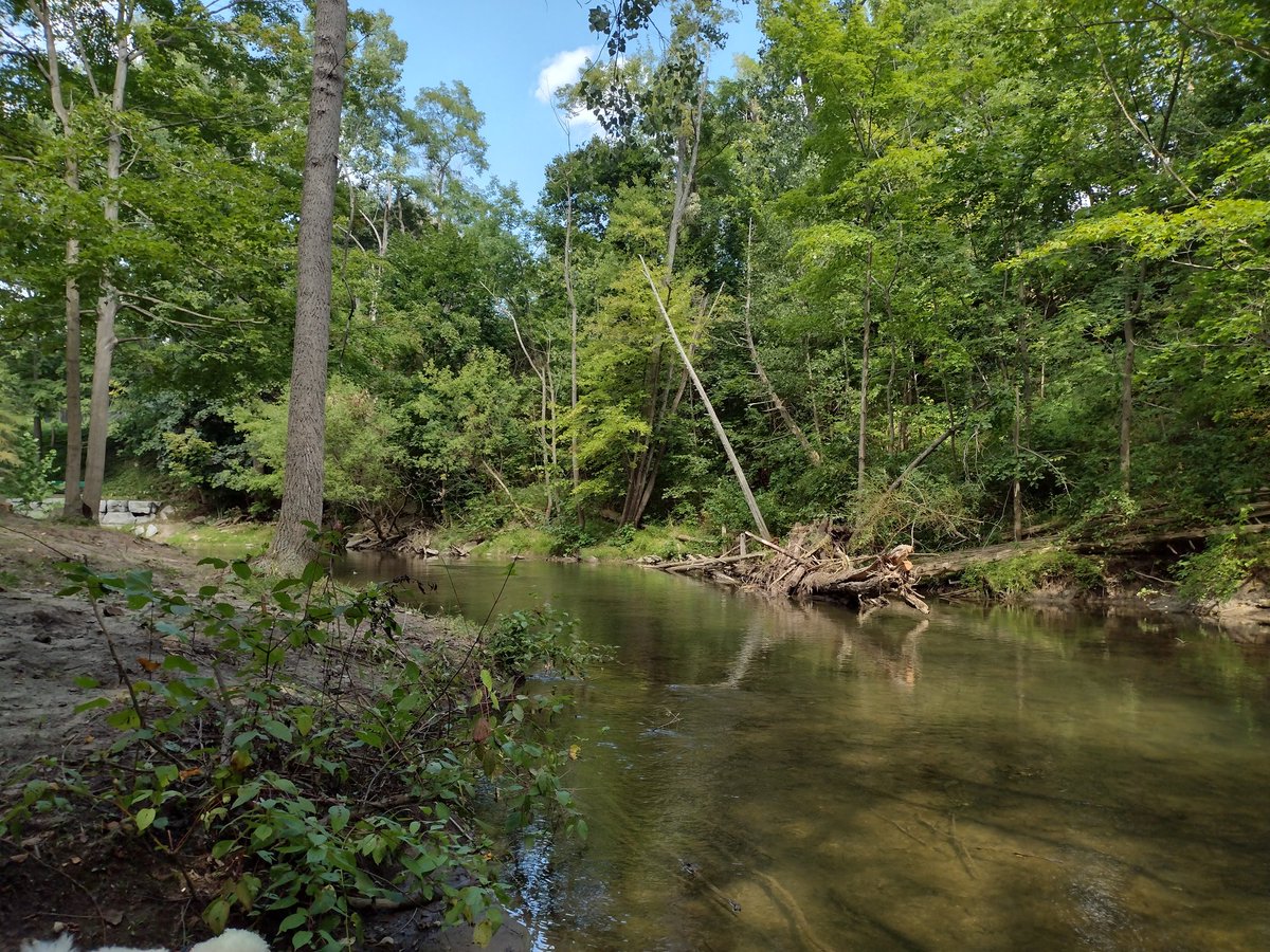 CurrieSheilagh's tweet image. Delhi is a great stop along the way to #whoknowswhere