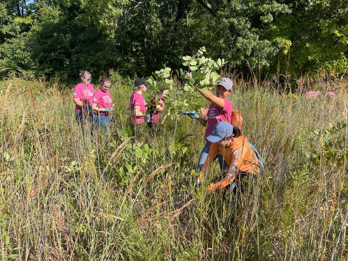 Wesselman Woods tweet media