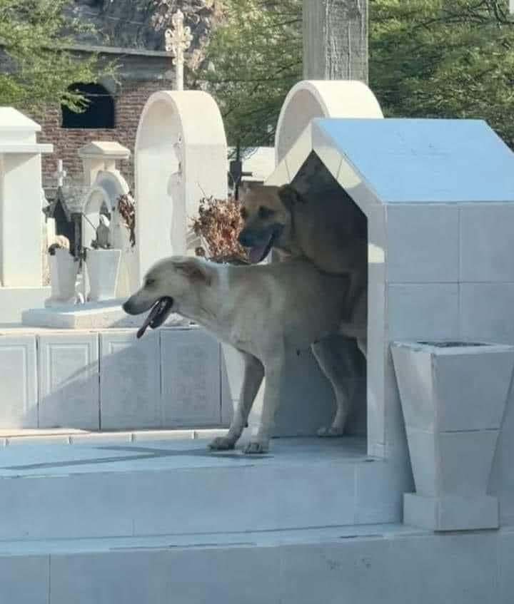 Freak2306's tweet image. Juela