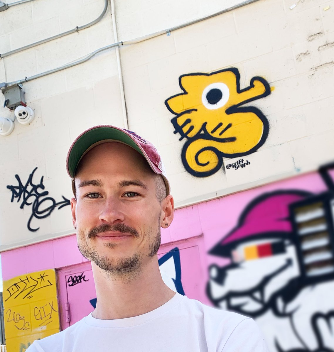 It is a seahorse. A wallhorse. I did it.