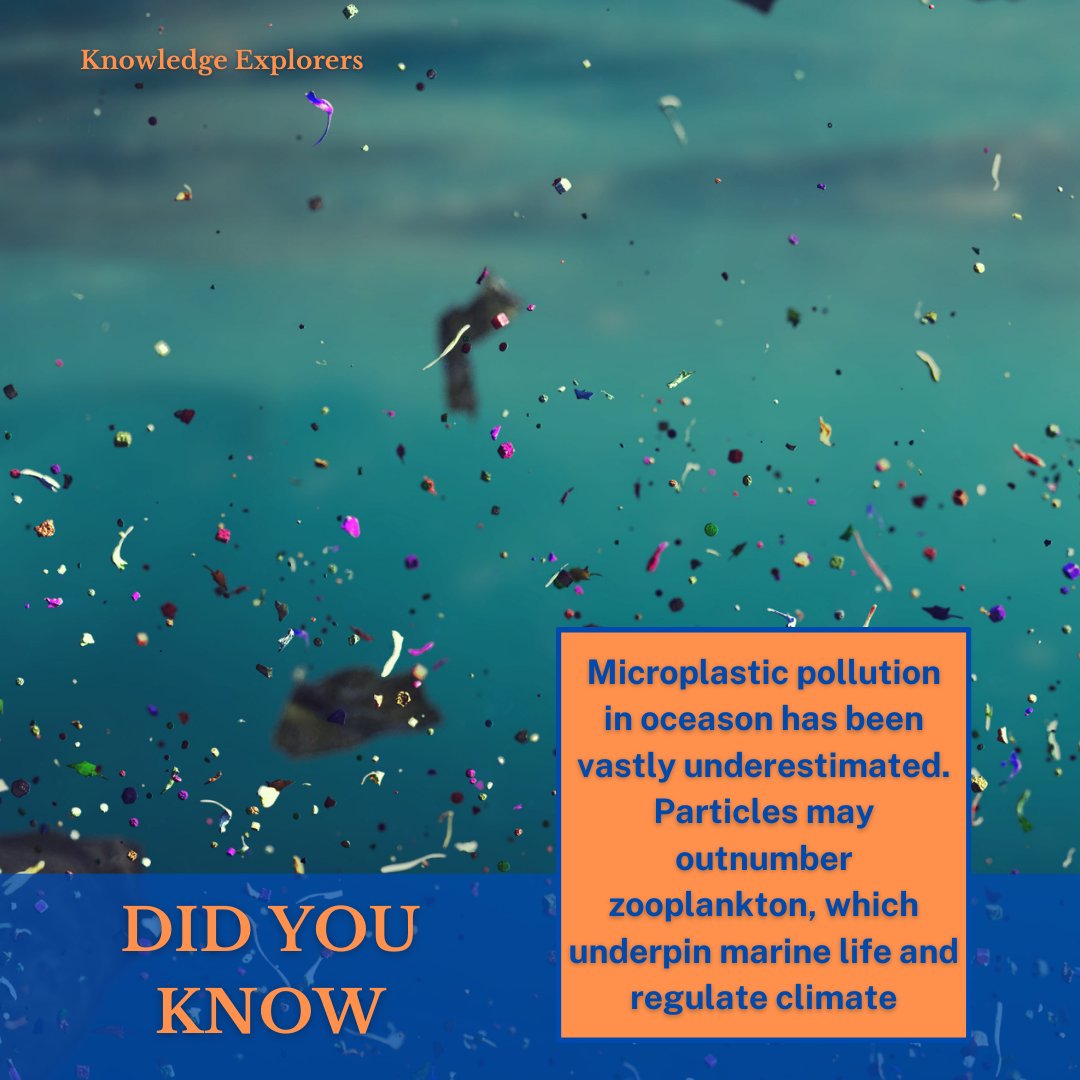 KnowledgeExp1's tweet image. New findings alert the enormity of the problem: microplastic pollution in oceans is more widespread than we thought. These particles could outnumber zooplankton, impacting marine ecosystems and climate regulation.#OceanPollution #Microplastics #Knowledge #MarineConservation