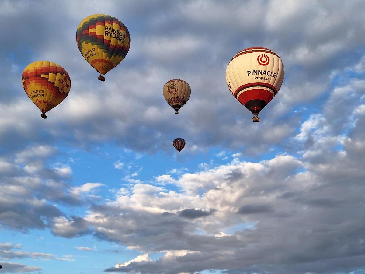 Cindy McMillan ☮ tweet media